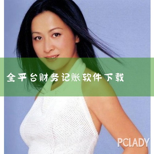 财务软件哪个好,财务软件有哪几个,适合初学者学习的单机免费会计软件,财务软件排行榜前十名,糖心Vlog