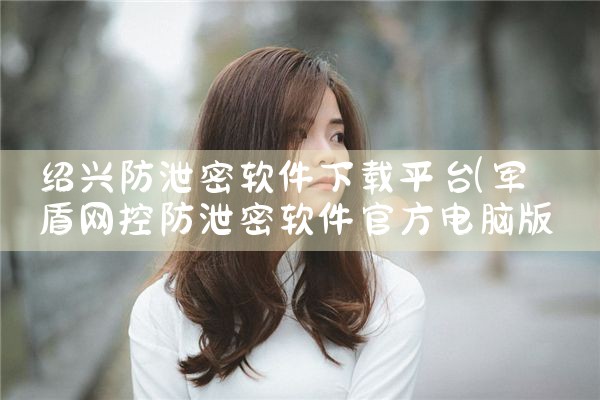 绍兴防泄密软件下载平台|P站专业版