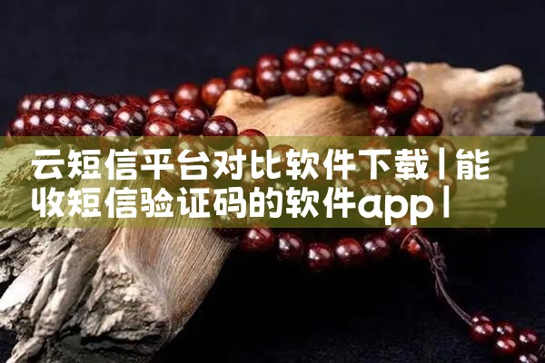 云短信平台对比软件下载|P站专业版