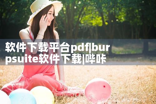 软件下载平台pdf|哔咔漫画