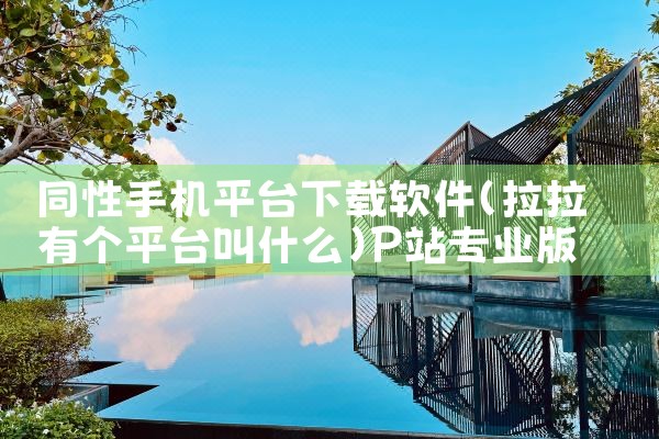 货运平台抢单软件下载|P站专业版