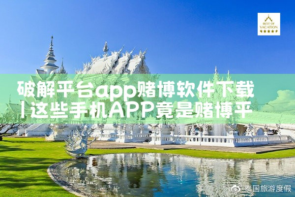 破解平台app赌博软件下载|P站专业版