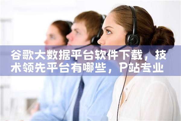 谷歌大数据平台软件下载|P站专业版