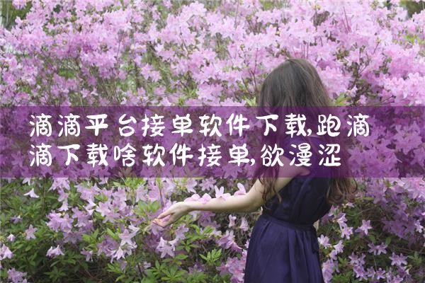 滴滴平台接单软件下载|欲漫涩