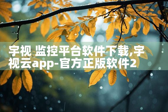 宇视 监控平台软件下载|P站专业版