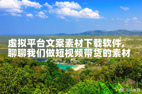 虚拟平台文案素材下载软件|P站专业版