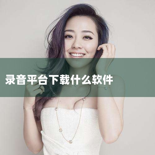 录音软件排行榜,十大免费录音软件,P站专业版