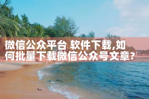微信公众平台 软件下载|P站专业版