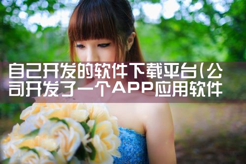 自己开发的软件下载平台|P站专业版