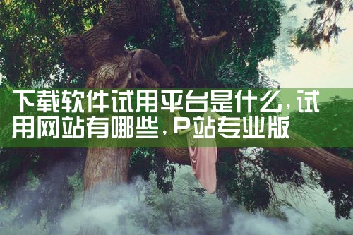 下载软件试用平台是什么|P站专业版