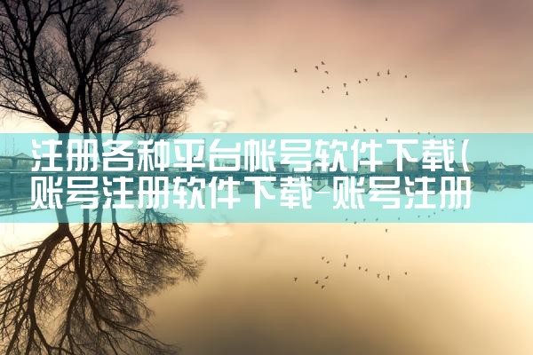 注册各种平台帐号软件下载|P站专业版