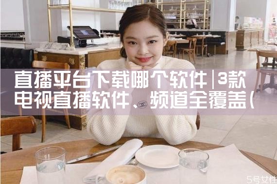桌面平台模组下载不了软件|P站专业版