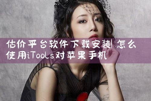 估价平台软件下载安装|P站专业版