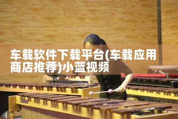 车载软件下载平台|小蓝视频