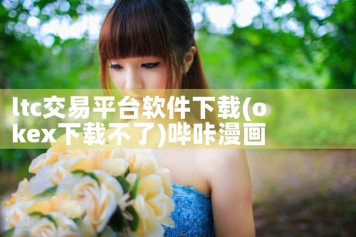ltc交易平台软件下载|哔咔漫画
