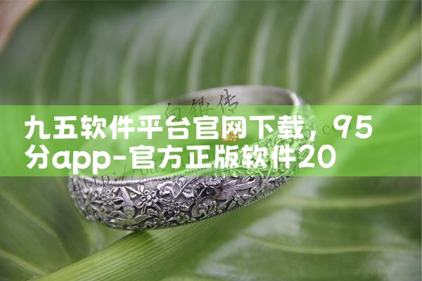 九五软件平台官网下载|P站专业版