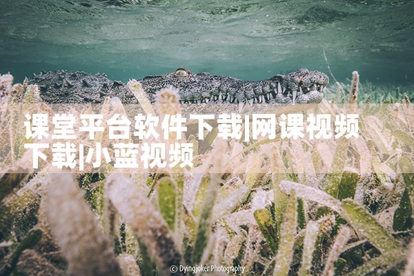 课堂平台软件下载|小蓝视频