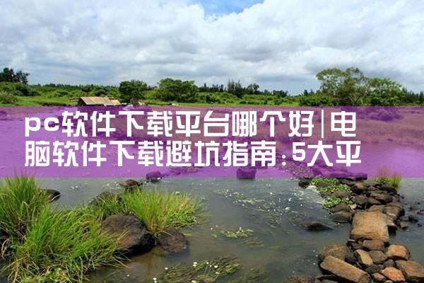 pc软件下载平台哪个好|P站专业版