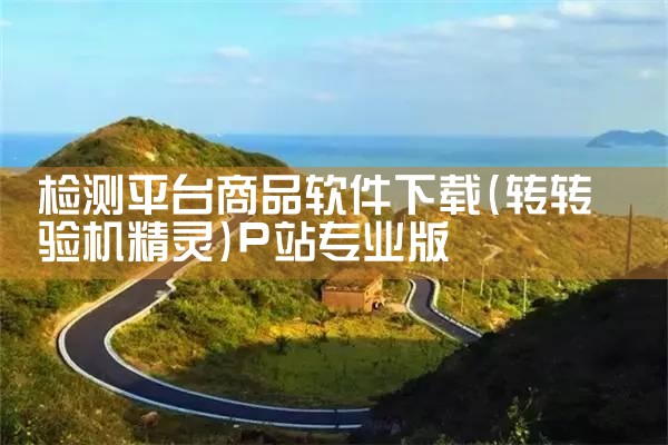 检测平台商品软件下载|P站专业版